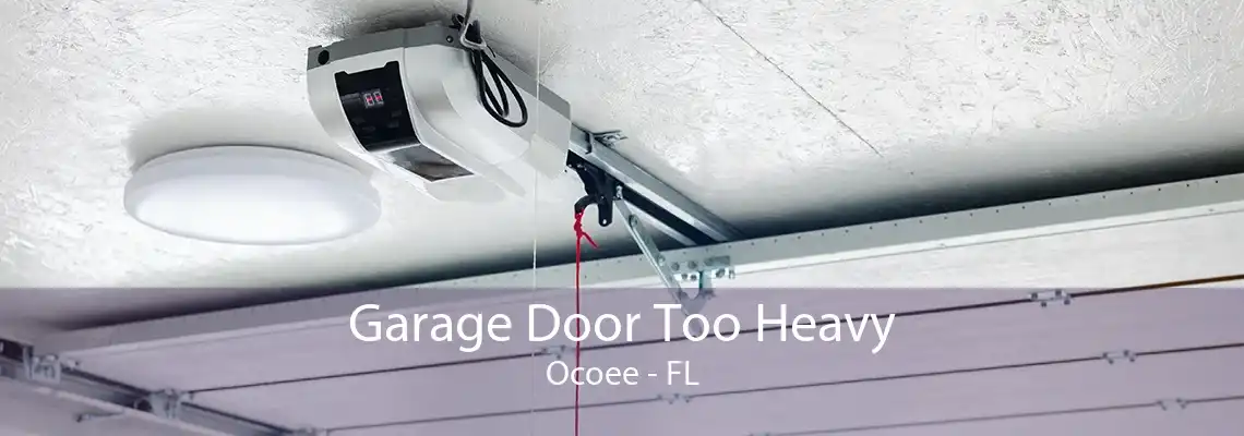 Garage Door Too Heavy Ocoee - FL