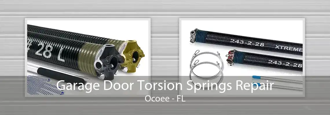 Garage Door Torsion Springs Repair Ocoee - FL