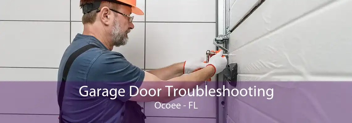 Garage Door Troubleshooting Ocoee - FL