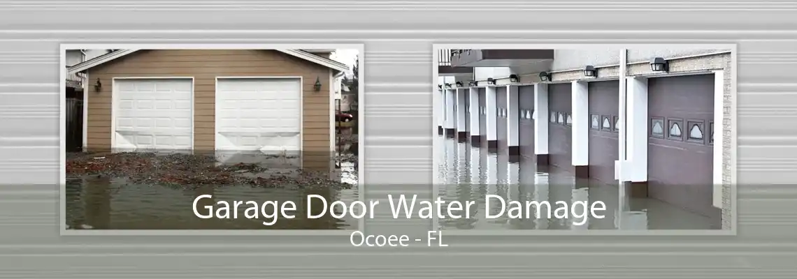 Garage Door Water Damage Ocoee - FL