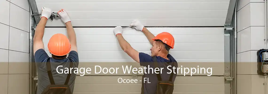 Garage Door Weather Stripping Ocoee - FL