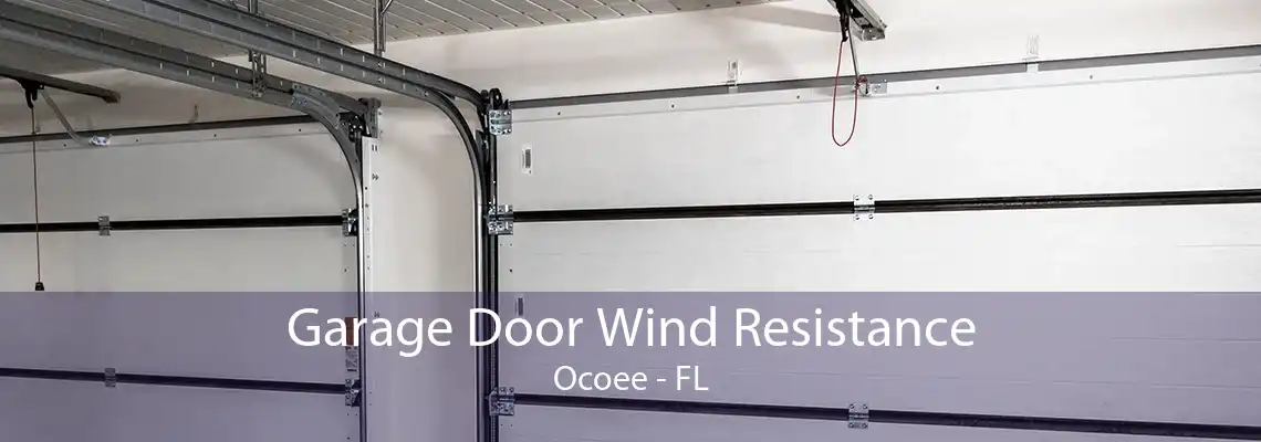 Garage Door Wind Resistance Ocoee - FL