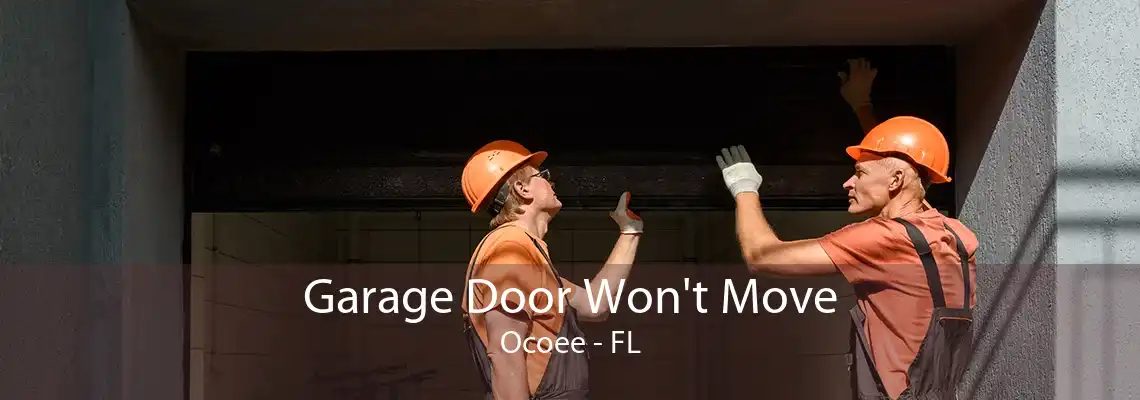 Garage Door Won't Move Ocoee - FL