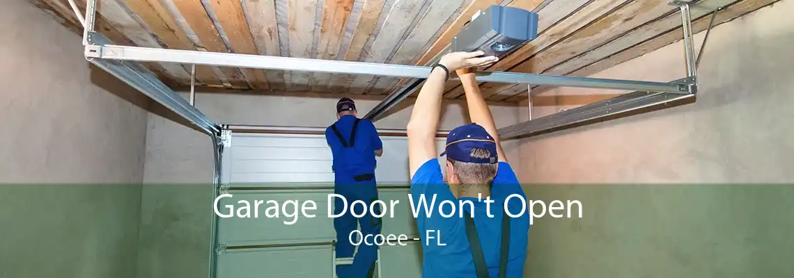 Garage Door Won't Open Ocoee - FL