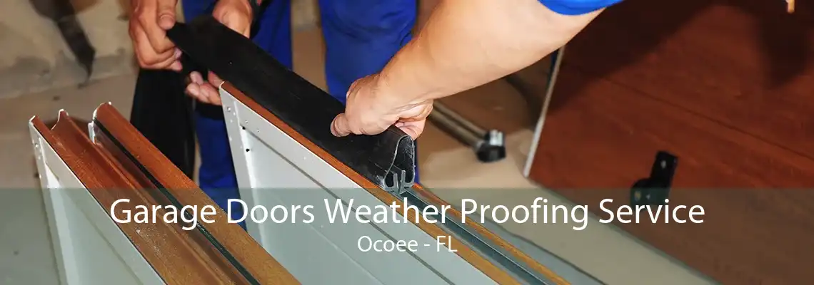 Garage Doors Weather Proofing Service Ocoee - FL