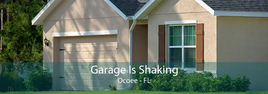 Garage Is Shaking Ocoee - FL