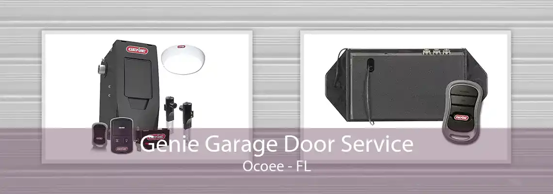 Genie Garage Door Service Ocoee - FL