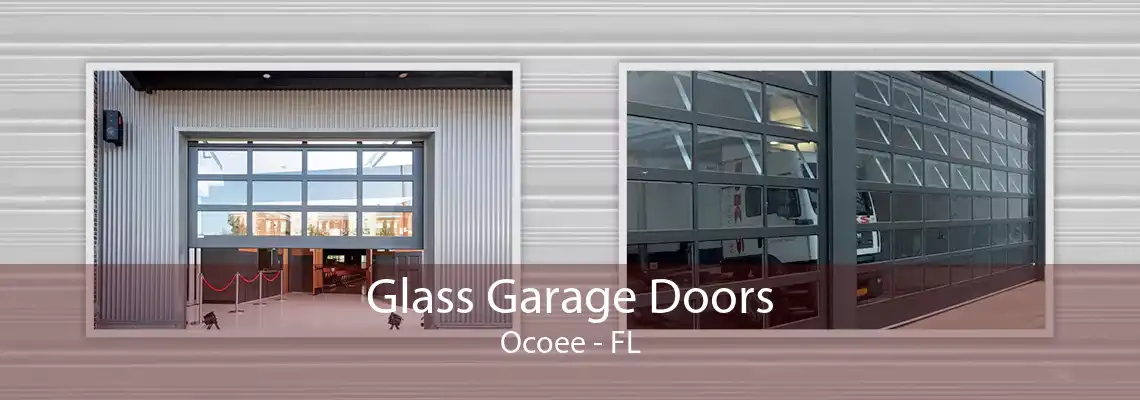 Glass Garage Doors Ocoee - FL