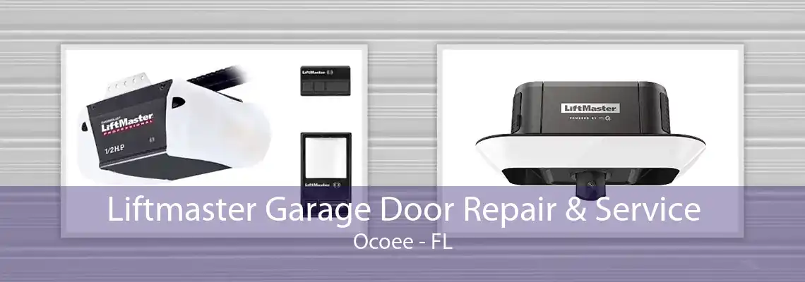 Liftmaster Garage Door Repair & Service Ocoee - FL