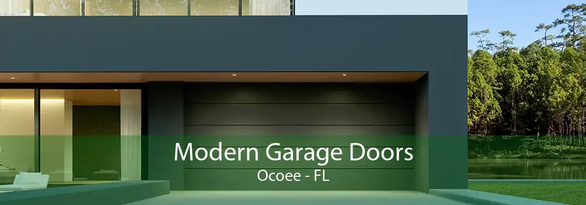 Modern Garage Doors Ocoee - FL