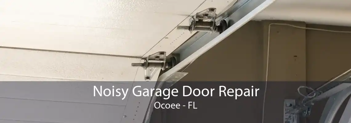 Noisy Garage Door Repair Ocoee - FL