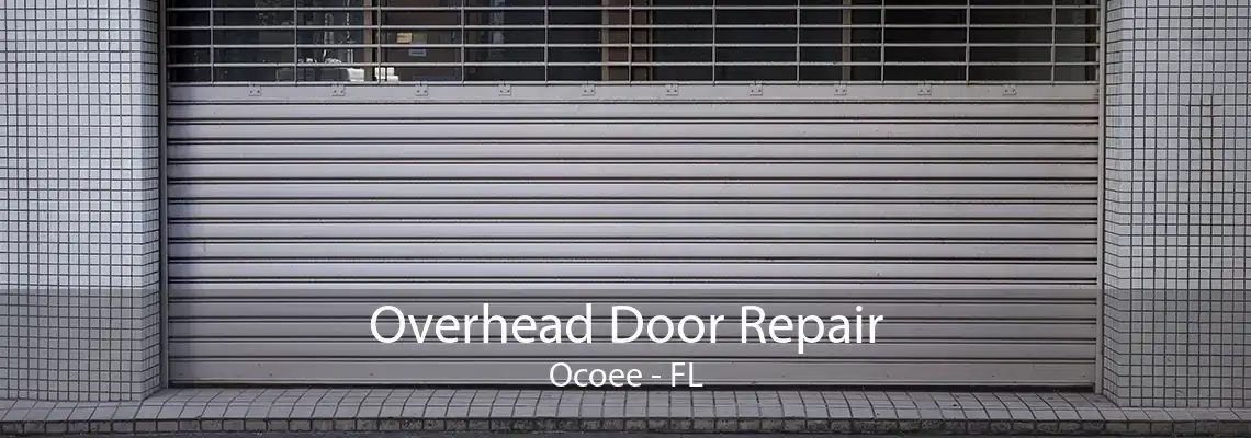 Overhead Door Repair Ocoee - FL