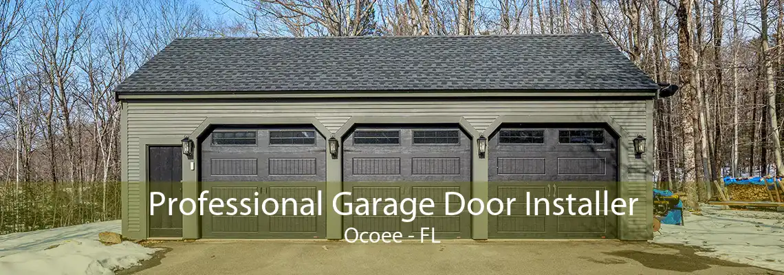 Professional Garage Door Installer Ocoee - FL