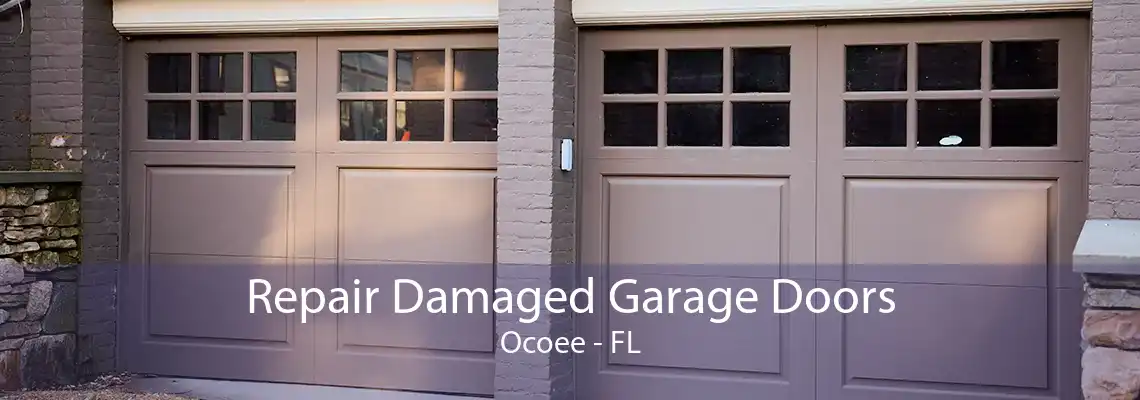 Repair Damaged Garage Doors Ocoee - FL