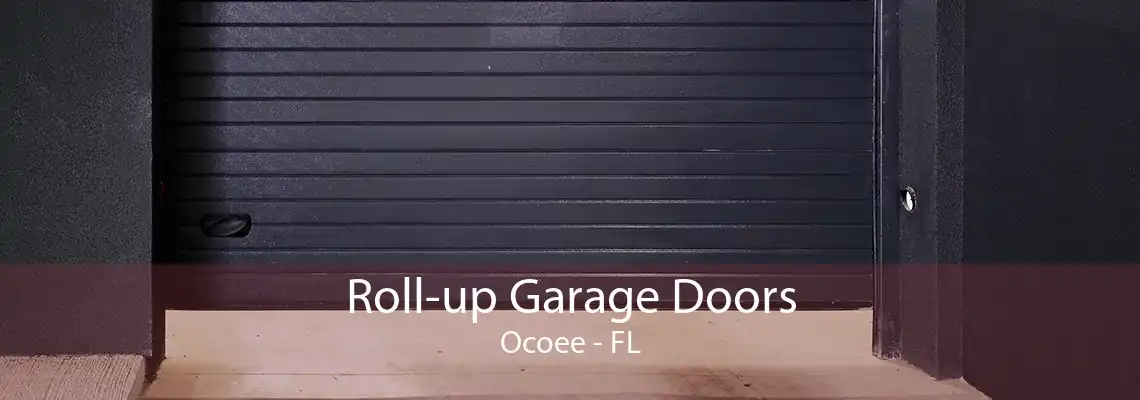 Roll-up Garage Doors Ocoee - FL