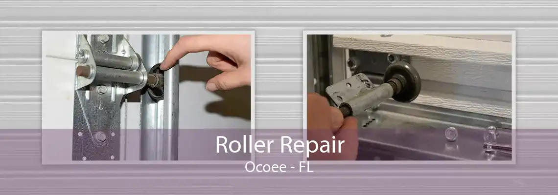 Roller Repair Ocoee - FL