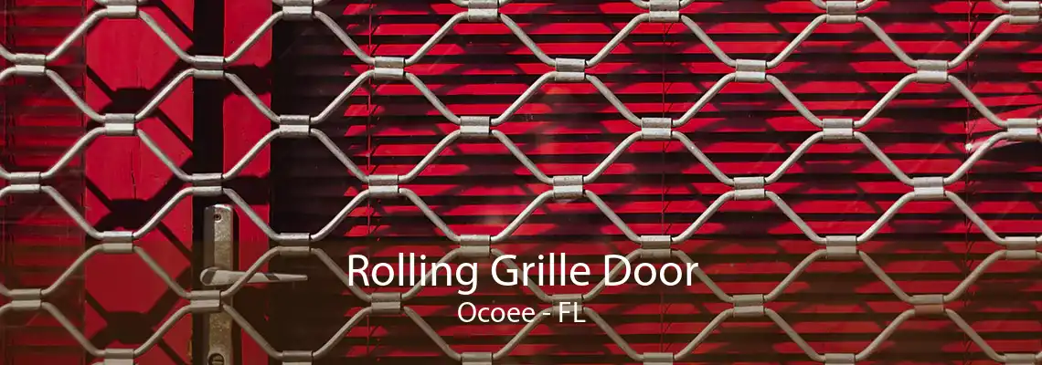 Rolling Grille Door Ocoee - FL