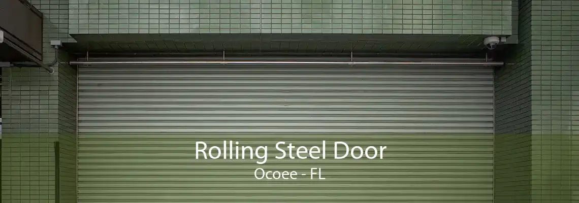 Rolling Steel Door Ocoee - FL