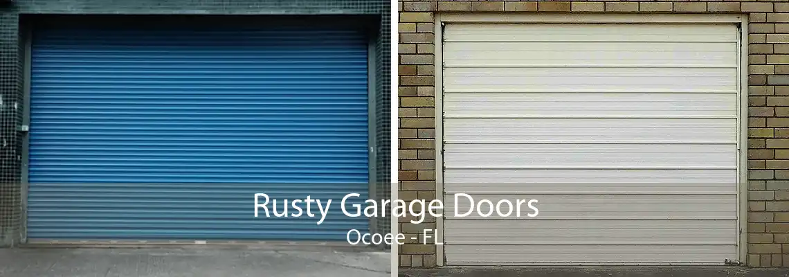 Rusty Garage Doors Ocoee - FL