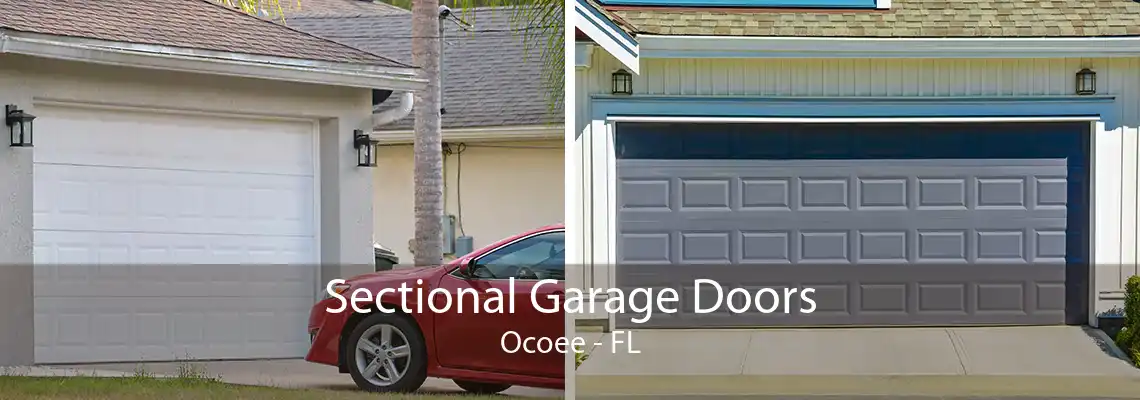 Sectional Garage Doors Ocoee - FL