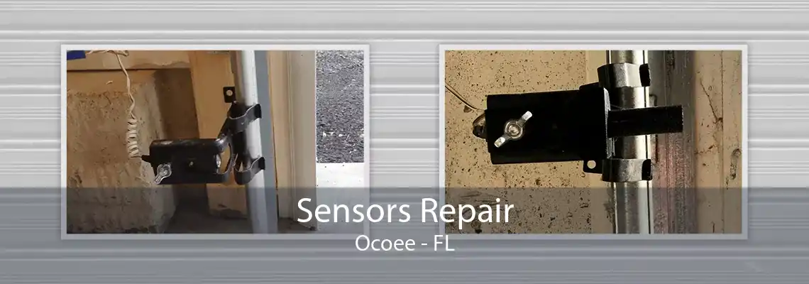 Sensors Repair Ocoee - FL